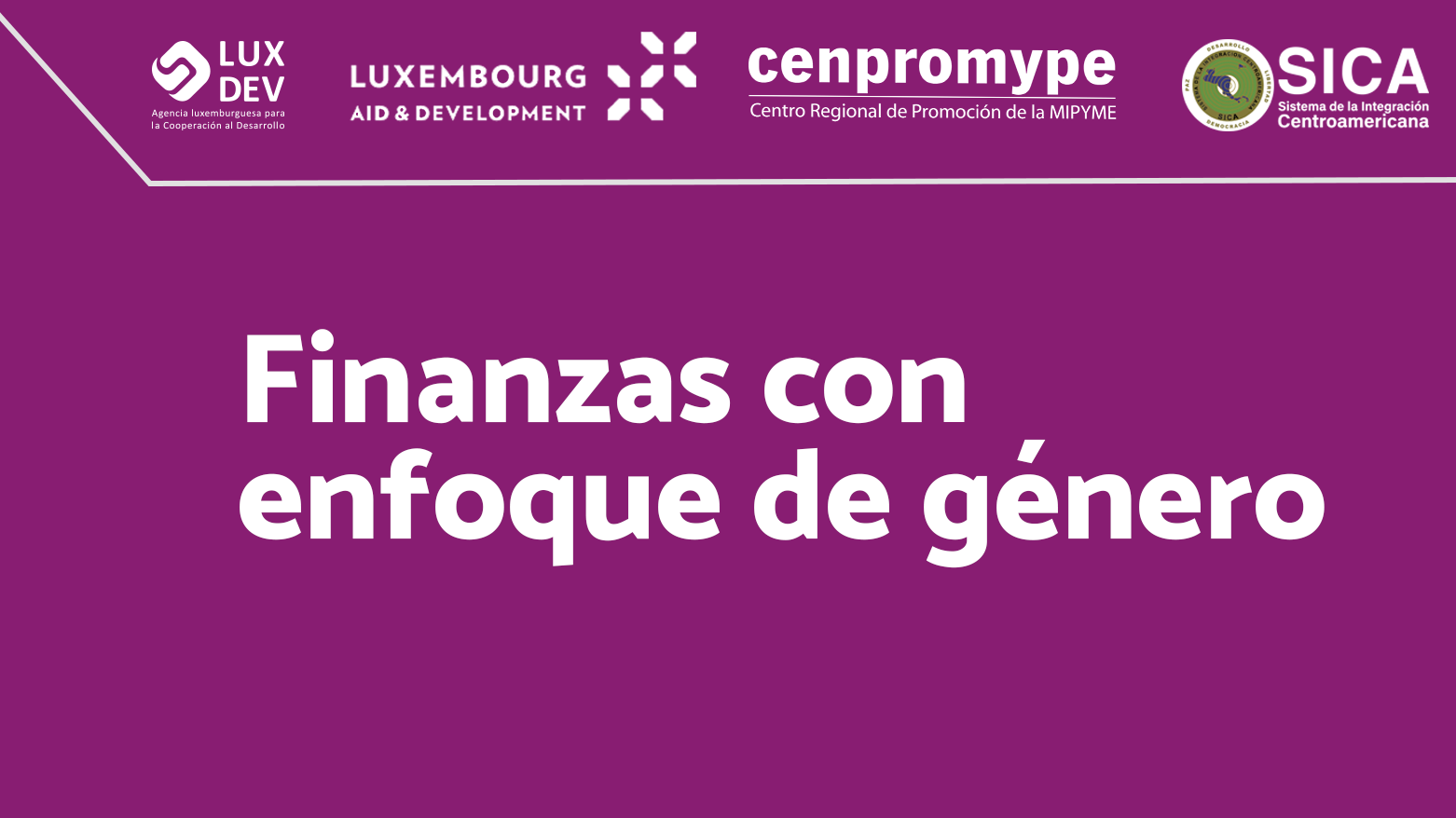 Módulo 8: Finanzas con enfoque de género copia 1 copia 1