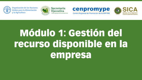 Módulo 1: Gestión del recurso disponible en la empresa