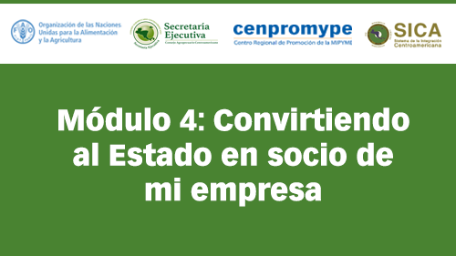 Módulo 4: Convirtiendo al Estado en socio de mi empresa
