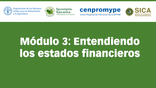 Módulo 3: Entendiendo los estados financieros