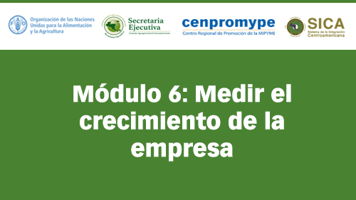 Módulo 6: Medir el crecimiento de la empresa