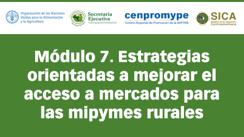 Módulo 7. Estrategias orientadas a mejorar el acceso a mercados para las mipymes rurales
