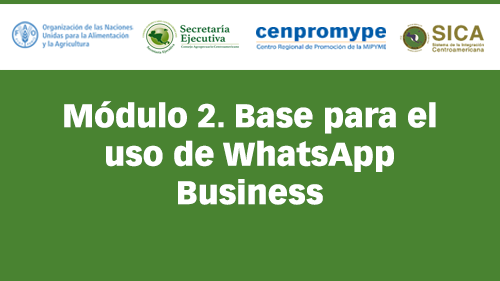 Módulo 2. Base para el uso de WhatsApp Business