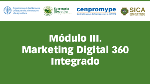 Módulo III. Marketing Digital 360 Integrado